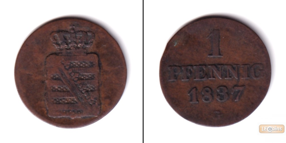 Sachsen 1 Pfennig 1837 G  f.ss