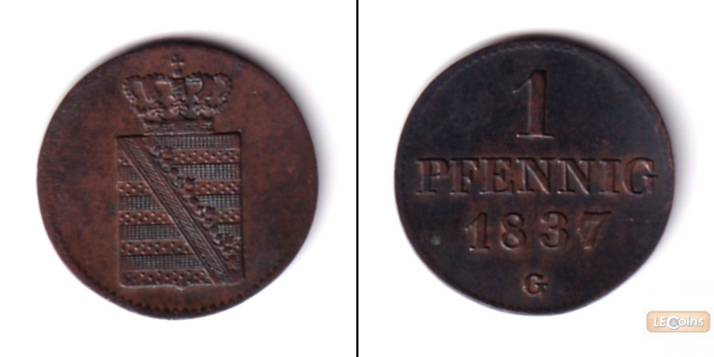 Sachsen 1 Pfennig 1837 G  f.vz