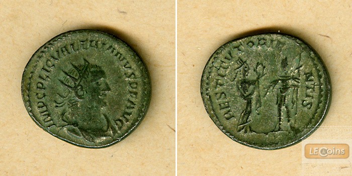 Caius Publius Licinius VALERIANUS I.  Antoninian  ss-vz  [255-256]